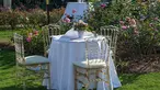 Four fancy acrylic chairs are set around a small round table among beds of blooming roses.