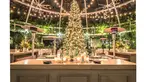 A lit christmas tree sets a golden glow behind a cocktail bar under a glass dome at night.