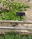 A small sign posted next to a leafy green plant behind a bamboo fence.