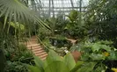 inside the conservatory showing hundreds of plants