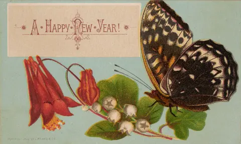 A greeting card illustration with a butterfly on a plant with berries and flowers.