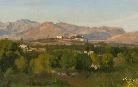 A detail view of a landscape with dense trees and mountains in the distance.