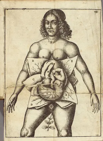 "The Figure of the Child near its Birth" in The midwives book. Or the whole art of midwifry discovered., Jane Sharp, 1671, printed book. The Huntington Library, Art Museum, and Botanical Gardens. 476851.