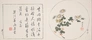 Chinese writing in a square box (left) and white and yellow flowers with green leaves (right).