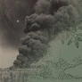 A composite image, on left of a photo of a person walking away from black smoke, and on right a green illustration of a fruit tree.