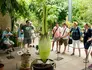 Visitors looking at corpse flower