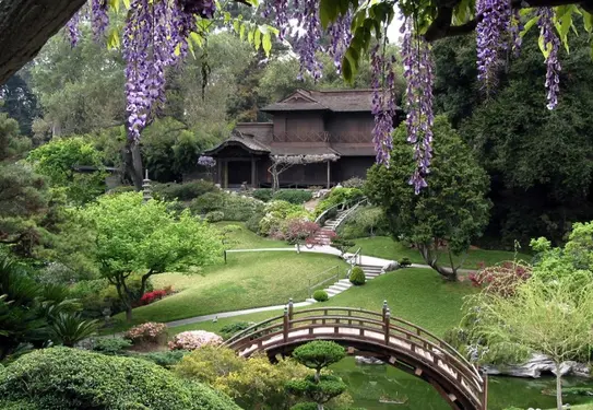 Current view of the Japanese Garden showcasing the bridge and house. 