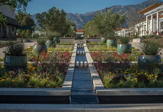 Brody California Garden - water feature