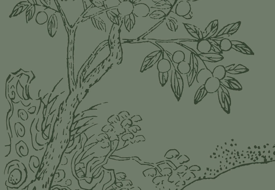 A green image with an illustration of a fruit tree in a garden.