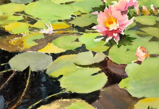 A watercolor painting of green lily pads and pink flowers.