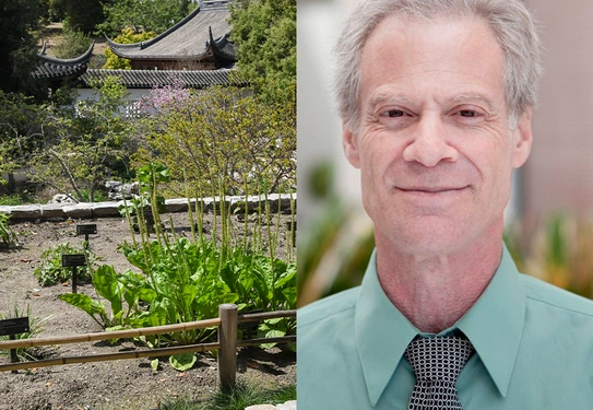 A collage with an image on left of a Chinese-style garden with stone planter beds, and on the right a portrait of a person with gray hair who is wearing a green shirt.