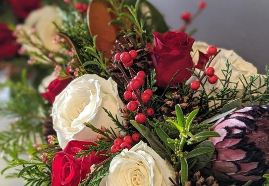 A floral arrangement with red and white roses, evergreen foliage, berries, and pinecones.