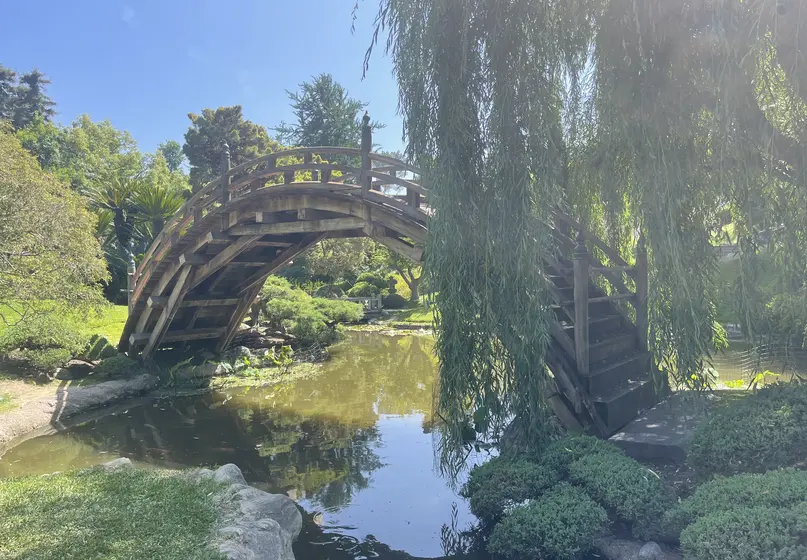 An arched wooden bridge stretches across still water. The bridge is partially obscured by a willow. Other green plants grow in the area.