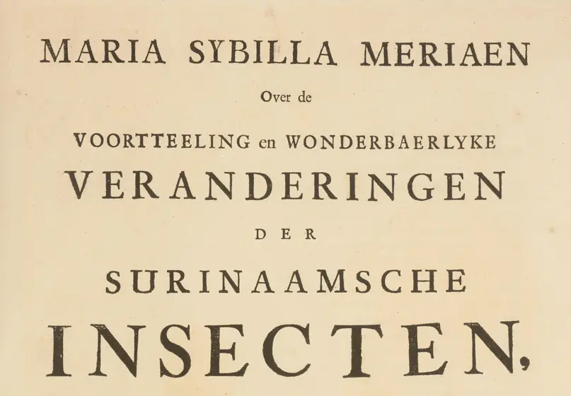 printed text reads: MARIA SYBILLA MERIAEN Over de VOORTTEELING en WONDERBAERLYKE DER SURINAAMSCHE INSECTEN,