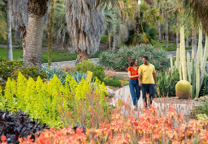 A couple walks in a garden with succulents and cacti.