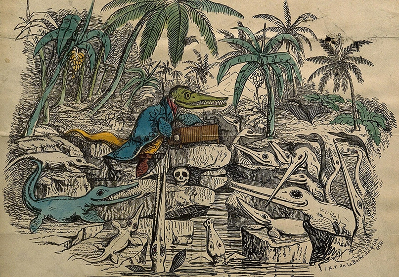 A drawing of ichthyosaurs listening to a lecture.