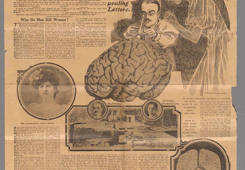 A full-page newspaper story titled “Studying Chester Gillette’s Brain” with accompanying drawings and photos.