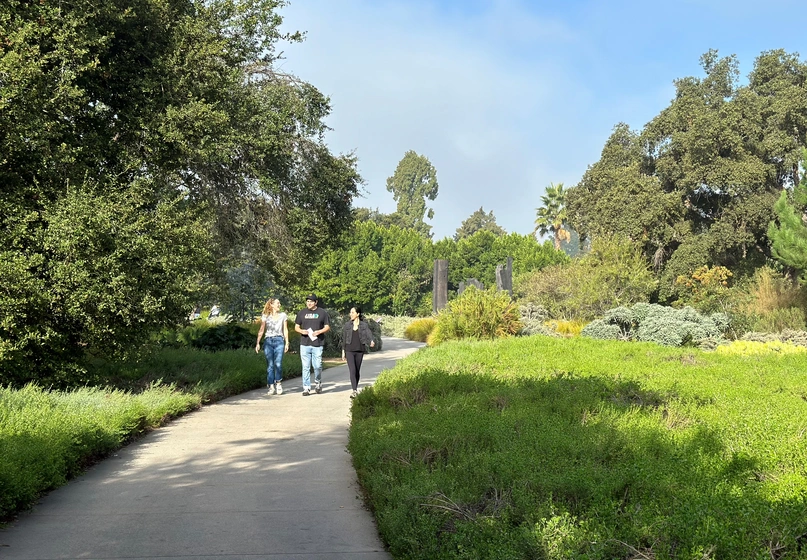 Three people walk on a paved path in a green garden on a sunny day.