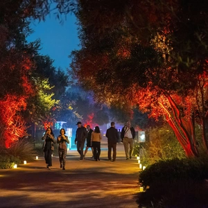 A walkway in a garden at night, with dramatic red lighting.