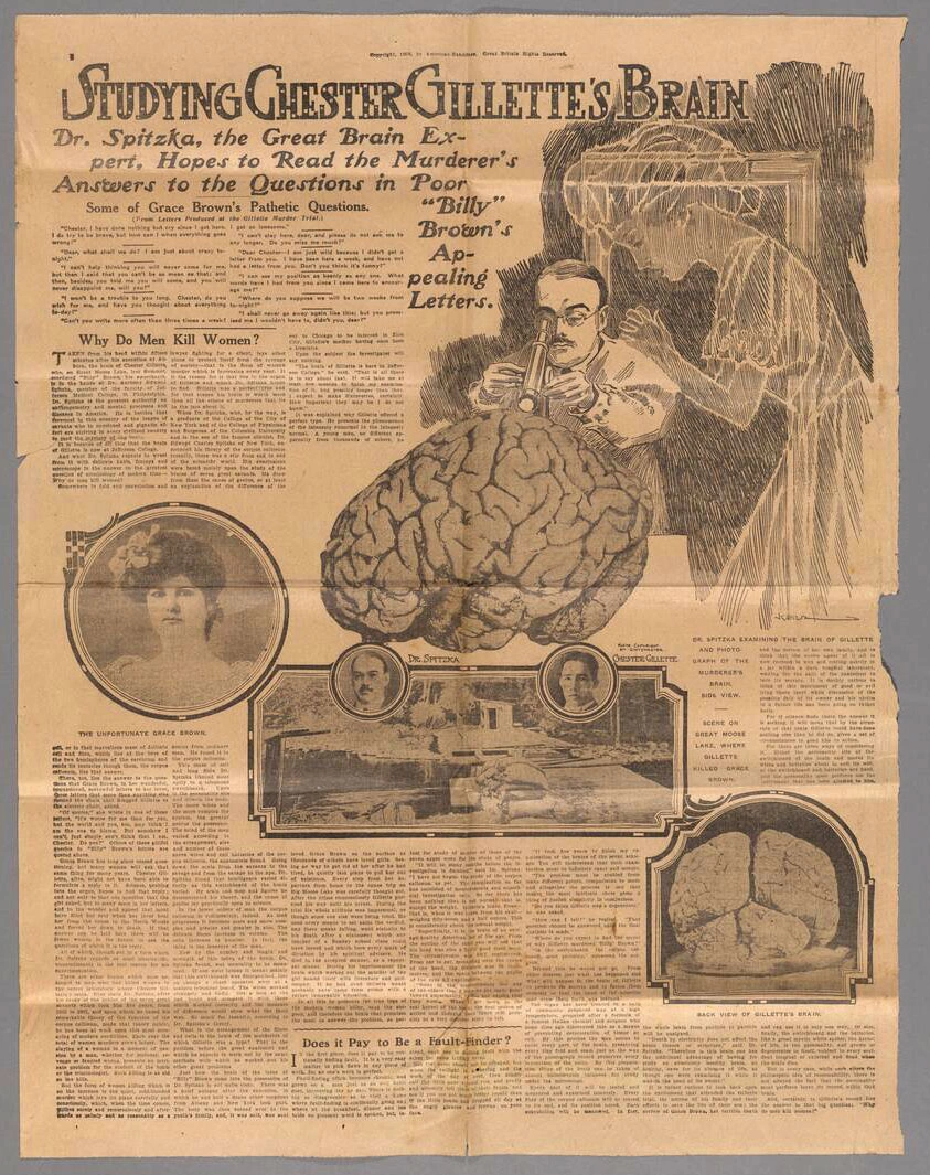 A full-page newspaper story titled “Studying Chester Gillette’s Brain” with accompanying drawings and photos.