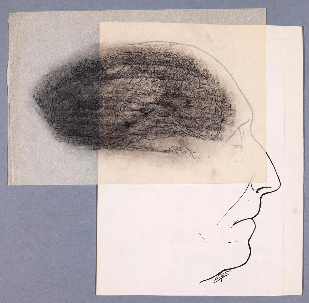 A charcoal and pencil sketch of a brain is superimposed over a drawing of a person’s profile.