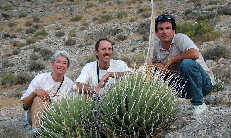 Karen Zimmerman, desert collections propagator, and John Trager, director of ISI, pose with agave specialist Kelly Griffin and the Agave utahensis var. eborispina. Seeds were collected from this specimen in the Nopah Mountains, near the California-Nevada border and made available in the 2009 catalog of International Succulent Introductions. Photo by Kelly Griffin.