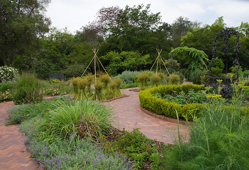 The half-acre Herb Garden is a wonderful source of inspiration, for foodies as well as gardeners. Photo by Lisa Blackburn.