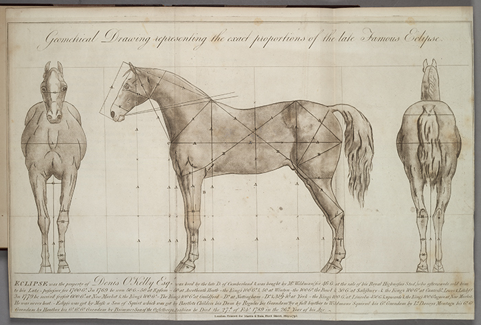 The Lasker collection is proof that California Chrome is more than a West Coast novelty but the latest in a long line of horses to capture the public’s imagination, including Eclipse, a British Thoroughbred that went undefeated in 1769 and 1770. From Charles Vial de Sainbel, An Essay on the Proportions of Eclipse (London: Martin and Bain, 1795).