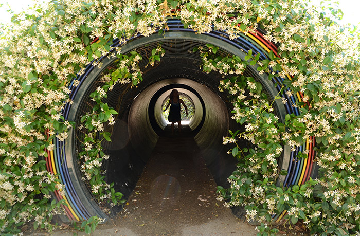 Inside the Prism Tunnel, children can see how sunlight breaks into colored arcs and soft halos.