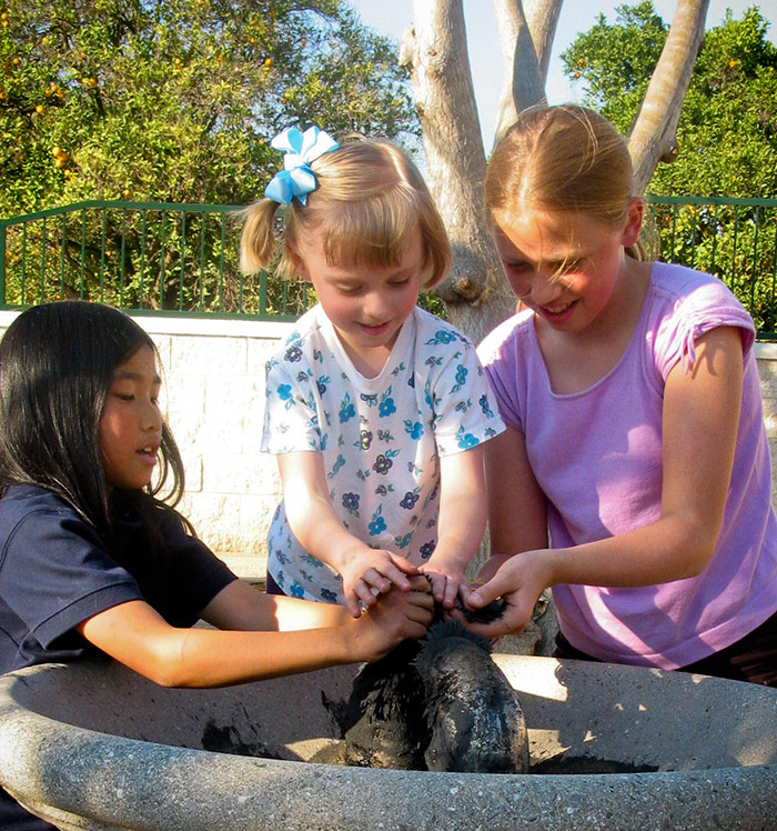 Like water play, magnetic sand provides another tactile experience for children who can get a hands-on feel for the interaction of force fields.