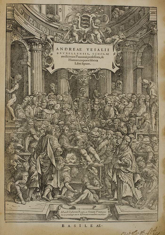 On the title page of the 1543 De humani corporis fabrica, Vesalius performs a dissection in an anatomical theater in Padua, Italy. Did John Stephen van Calcar, a pupil of Titian, make this illustration? The Huntington Library, Art Collections, and Botanical Gardens.