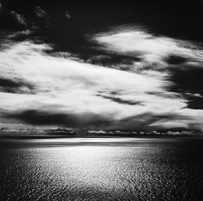 William R. Current (1923–1986), Point Lobos, 1968. Gelatin silver print, 7 ½ × 7 ½ in. Gift of the estate of William R. Current.