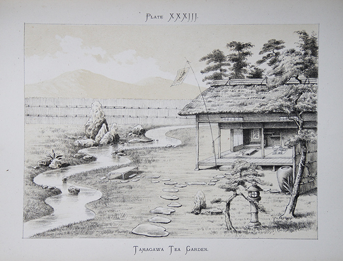 A drawing of the Tamagawa (Jade Stream) Tea Garden, a sencha teamaster’s garden, from Landscape Gardening in Japan, 1893, by Josiah Conder (1852–1920). The Huntington Library, Art Collections, and Botanical Gardens.