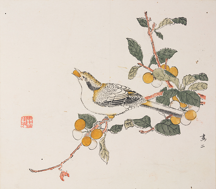 Detail of bird eating fruit, Painting 2, Ten Bamboo Studio Manual of Calligraphy and Painting, ca. 1633–1703, woodblock-printed book mounted as album leaves, ink and colors on paper. The Huntington Library, Art Collections, and Botanical Gardens.