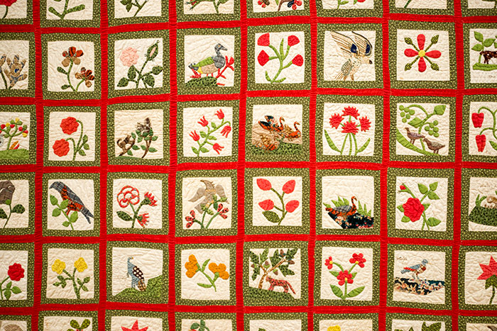 Maker unknown, Album Quilt (detail), ca. 1850, cotton. Jonathan and Karin Fielding Collection. Photo by Kate Lain. 