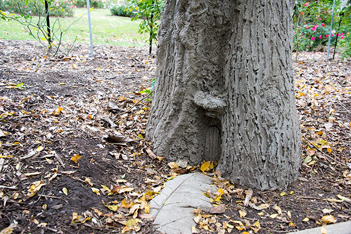 A fairy door located along the western edge of The Huntington’s Rose Garden. Photo by Kate Lain. The Huntington Library, Art Collections and Botanical Gardens.