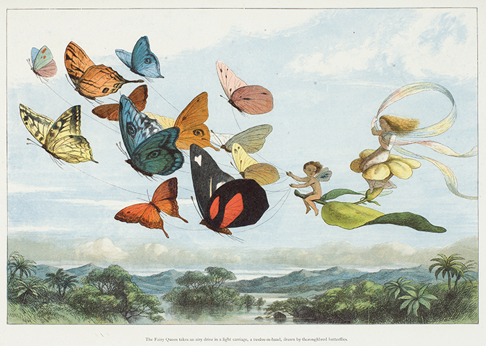 Richard Doyle, illustration of “The Fairy Queen Takes an Airy Drive in a Light Carriage, a Twelve-in-hand, drawn by Thoroughbred Butterflies” from In Fairy Land: A series of pictures from the elf-world by William Allingham (1870). The Huntington Library, Art Collections and Botanical Gardens.