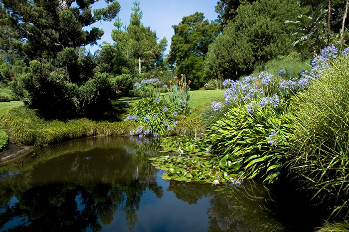 The grassy spots near the Lily Ponds provide calm places to rest and relax.