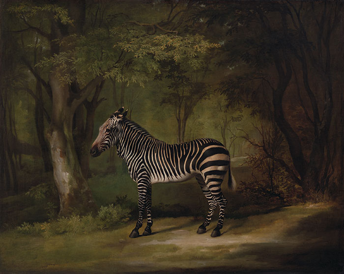 George Stubbs (British, 1724–1806), Zebra , exhibited 1763, oil on canvas, Yale Center for British Art, Paul Mellon Collection.