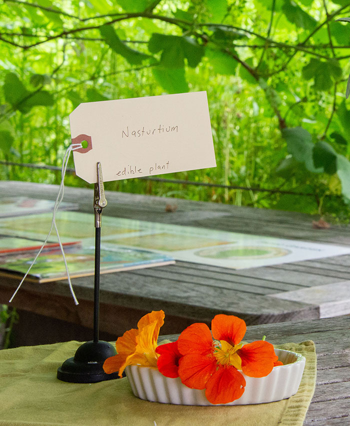 At the Ranch garden, you can even taste some of the flowers, including this peppery nasturtium. Photo by Deborah Miller.