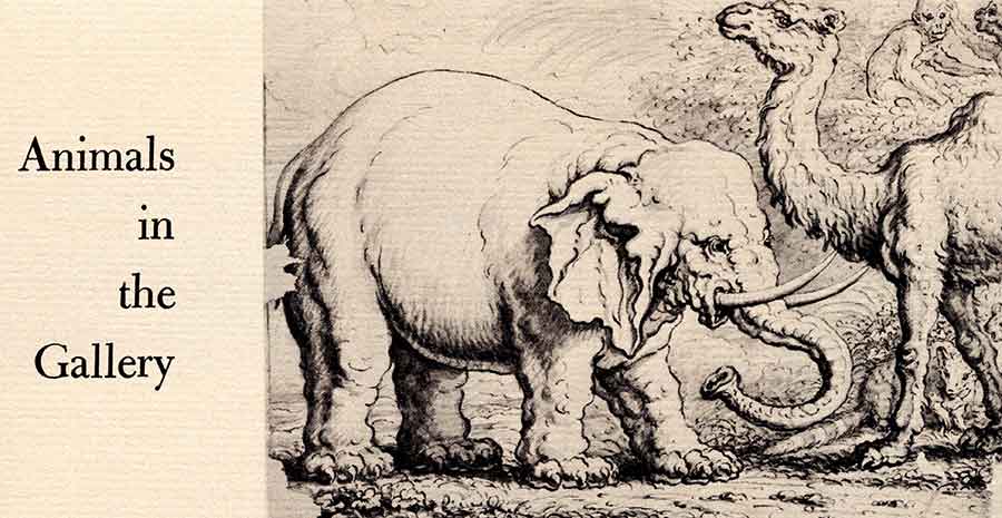 Elephant, Camel, and Monkeys (ca. 1663) by Francis Barlow. Pen and brown ink and brush and black ink and wash on laid paper. Seen in the June–July 1970 exhibition “Animals in the Gallery.” The Huntington Library, Art Museum, and Botanical Gardens.