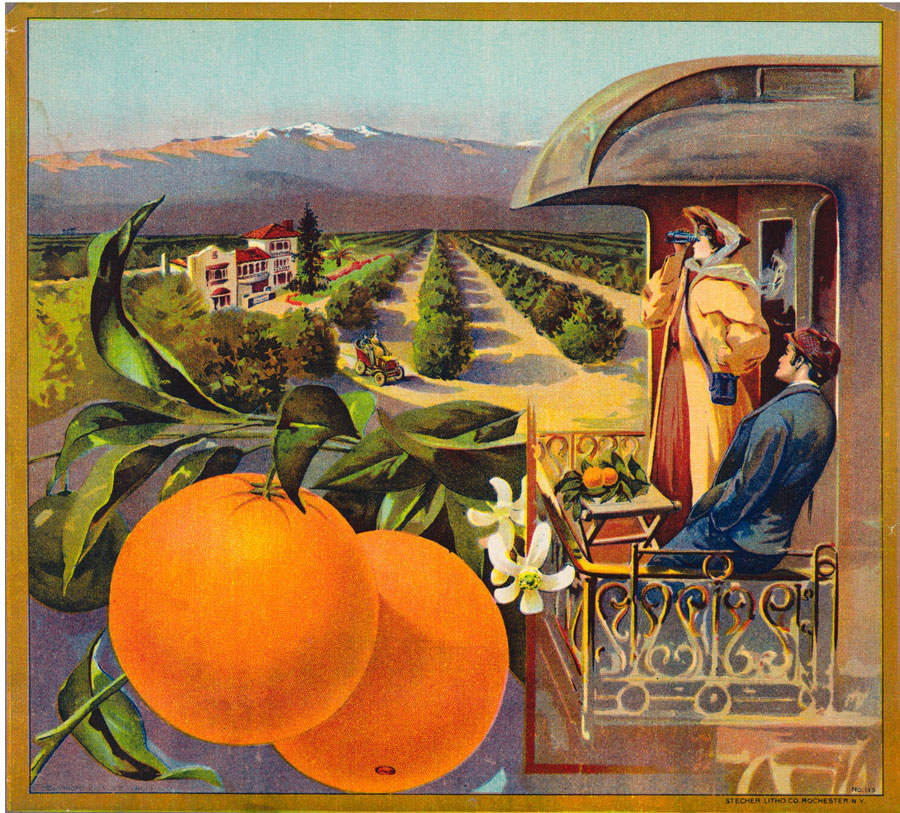 Advertisement for oranges