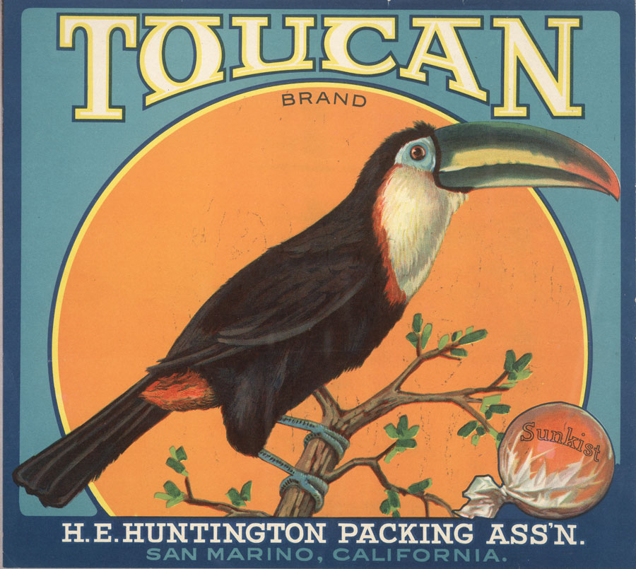 Toucan Brand