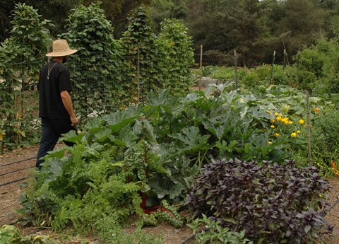 FROM THE RANCH | Return to the Ranch | The Huntington