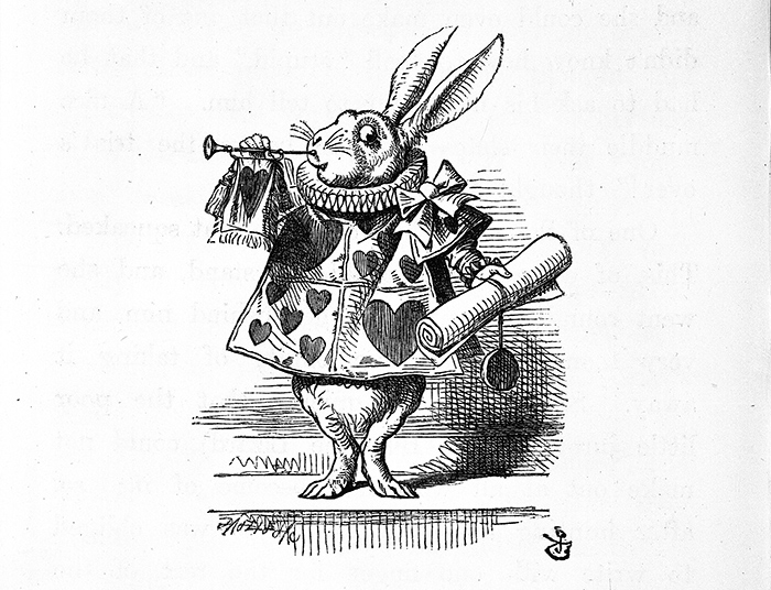 alice in wonderland book illustrations white rabbit