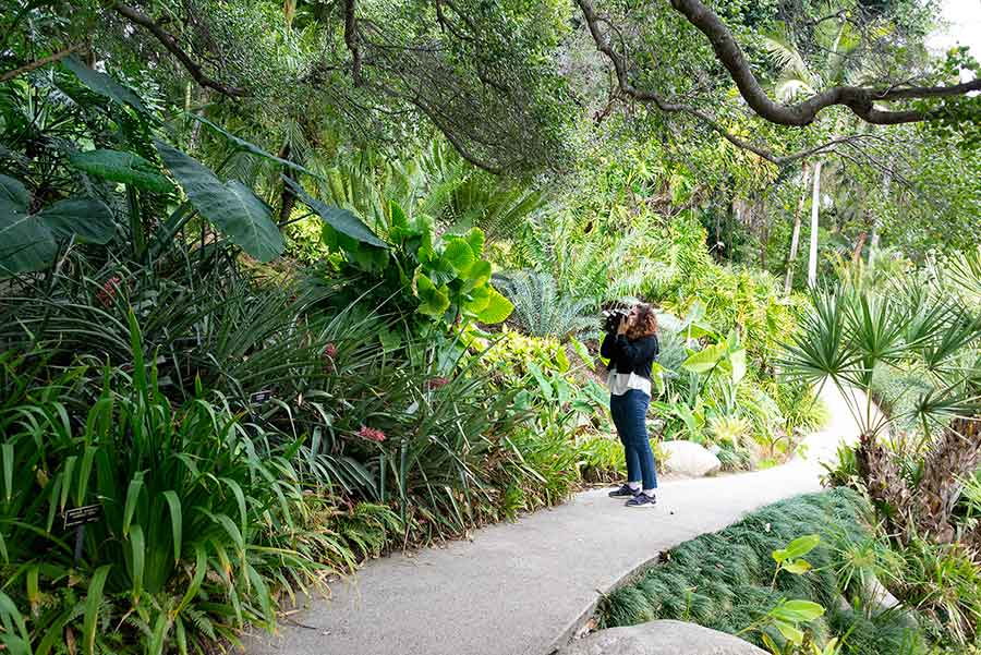 Beatriz Santiago Muñoz, filming in The Huntington’s Jungle Garden. Photo by Kate Lain. The Huntington Library, Art Museum, and Botanical Gardens.