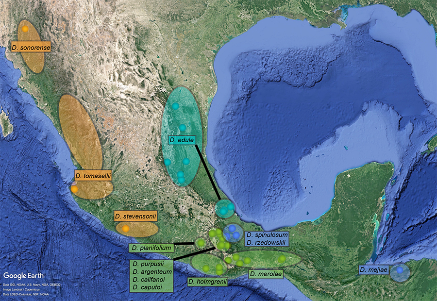 Map showing geographic regions of Mexico