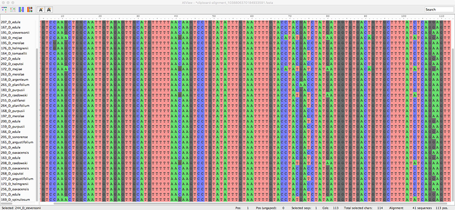 Image showing genetic data of cycads