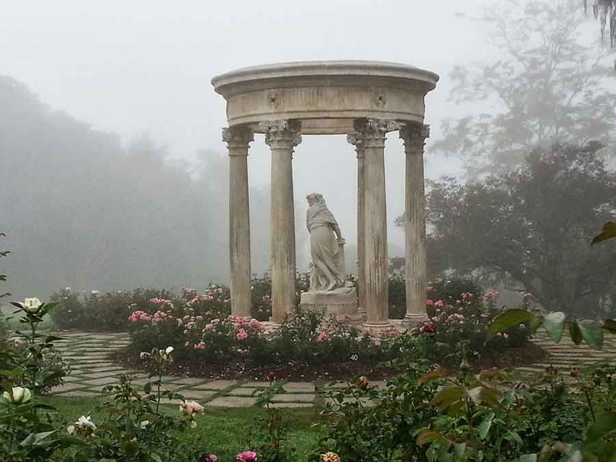 A misty morning in the Rose Garden in mid-April, about a month into the closure of the grounds. “It feels very lonely and quiet . . . Kind of melancholy,” says John Villarreal. The 18th-century “Temple of Love,” one of the focal points of the garden, is encircled by ‘Passionate Kisses’ roses. Photo by John Villarreal.