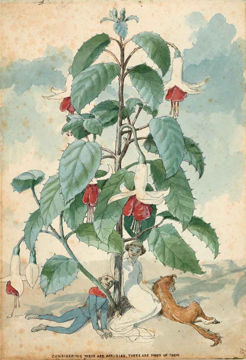 Charles Altamont Doyle (British 1832–1893), Considering these are Affuchsias, There are Many of Them, ca. 1885–91. Pen and watercolor over pencil. Gift of Princess Nina Mdivani Conan Doyle with assistance from The Friends. The Huntington Library, Art Collections, and Botanical Gardens.